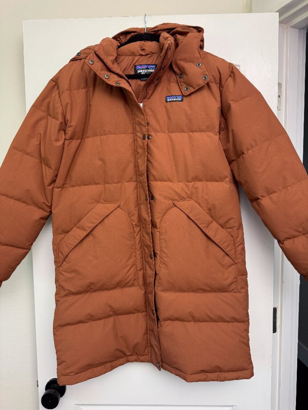 Patagonia Netplus Large Downdrift Parka - Women's Size L